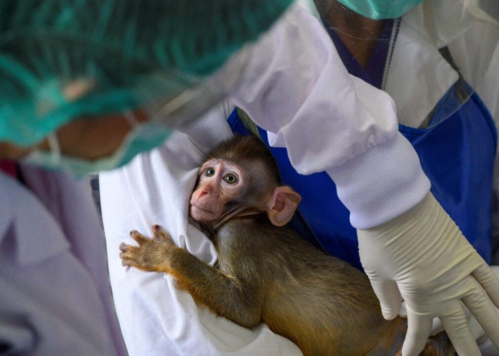 COVID-19 vaccine trials